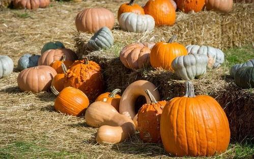 恒河吃瓜群众,揭秘吃瓜群众的欢乐时光