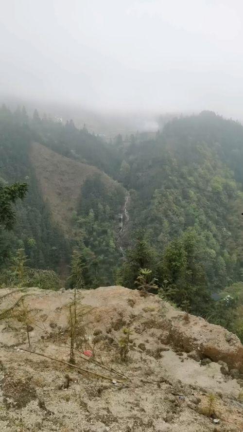 高山吃瓜,探寻独特的高山吃瓜体验